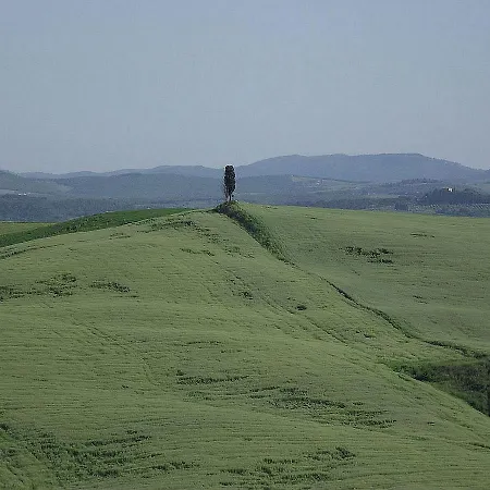 Bed & Breakfast Il Noce